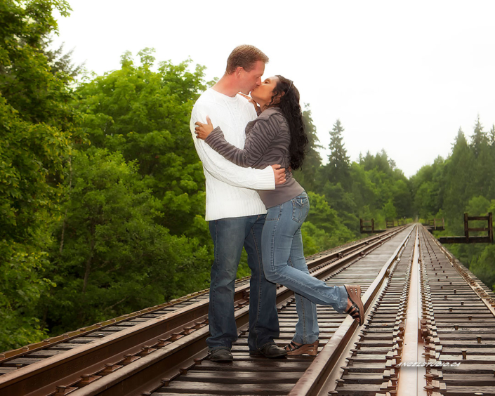 engaganent portrait, couples portrait