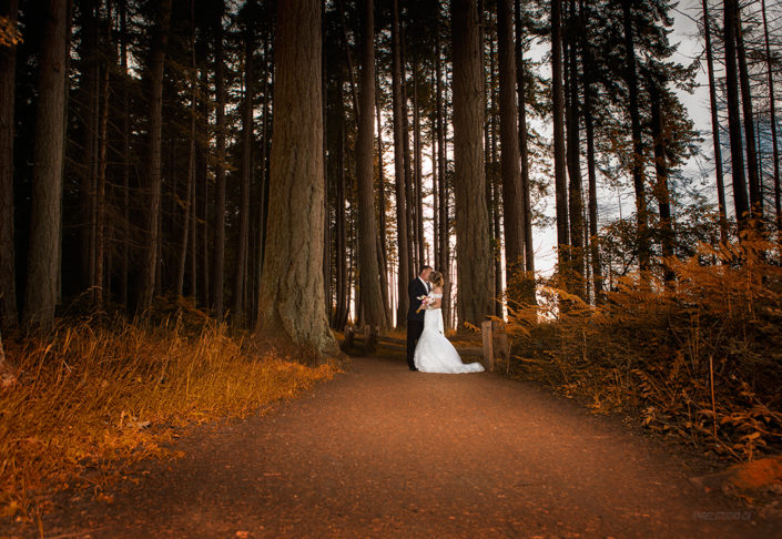 wedding picture, romantic wedding, forest wedding